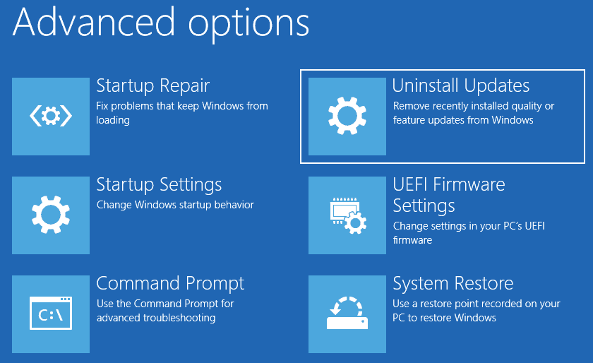win-re-advanced-options